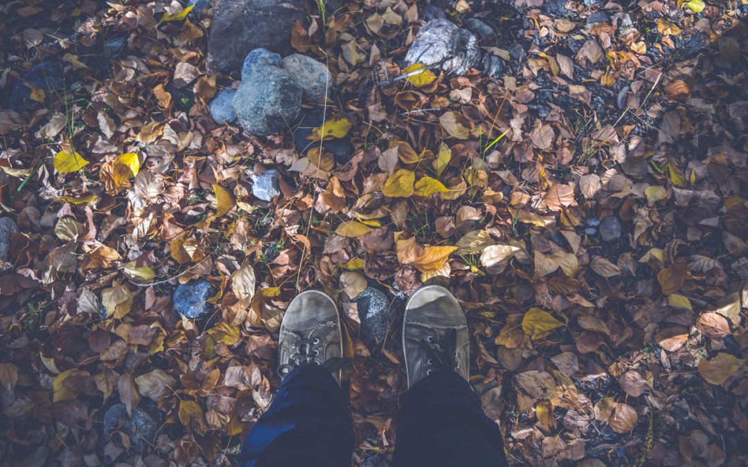 Walk in the park